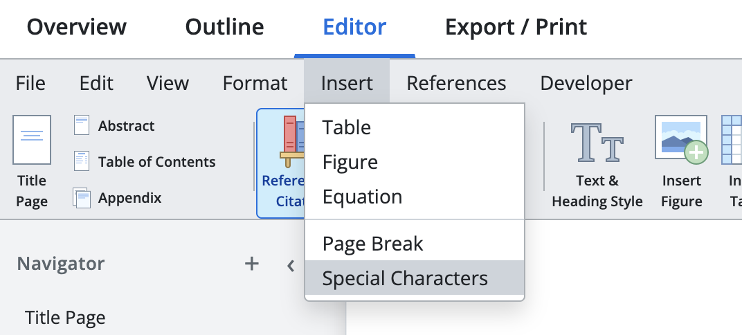 Special Characters menu open showing available symbols